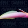 Helfrichi Firefish - Central Pacific -Coral Shop 1896222