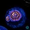 Stratosphere Zoanthids -Coral Shop VP 052925A 25