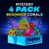 Mystery 4 Pack Beginner Corals -Coral Shop WWC mystery beginner 4pack 1