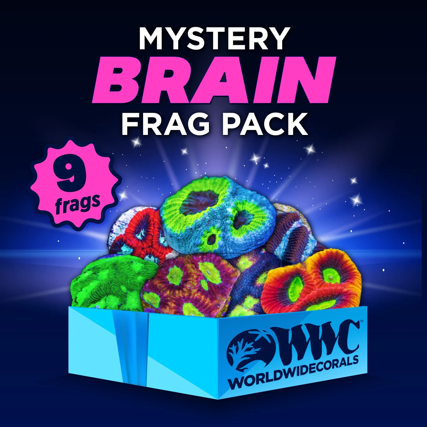 Mystery Brain Frag Pack (9 Frags) 3 Mystery Brain Frag Pack (9 Frags)