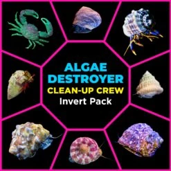 Algae Destroyer Clean Up Crew Invert Pack