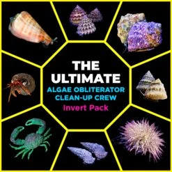 The Ultimate - Bring In The Reinforcements - Algae Obliterator Clean Up Crew Invert Pack